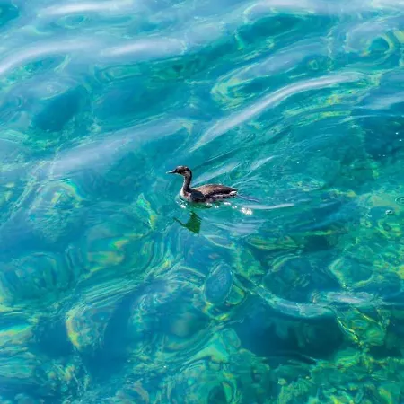 Rasica Casa de hóspedes Molunat